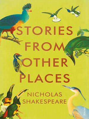 cover image of Stories from Other Places